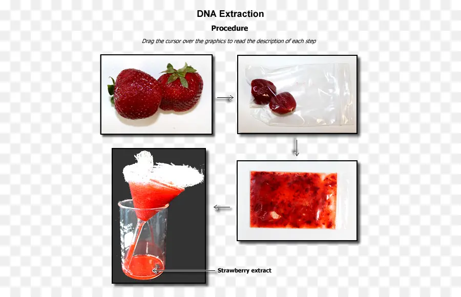 Extracción De Adn，Fresa PNG