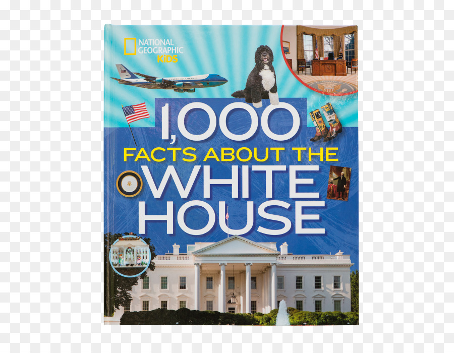 La Casa Blanca，1000 Hechos Sobre La Casa Blanca PNG