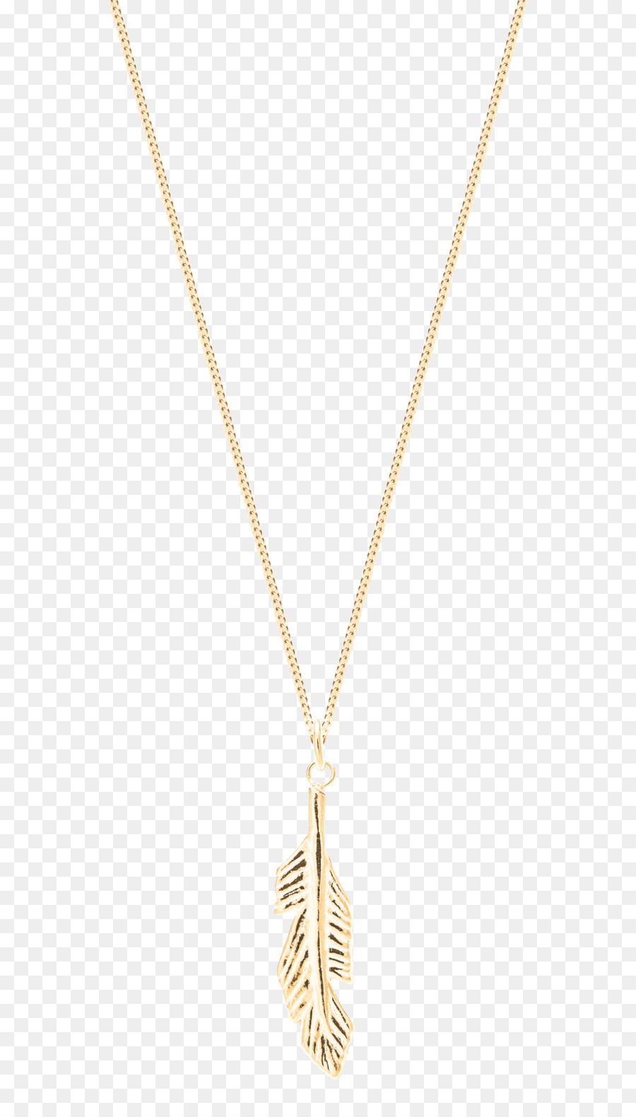 Collar，Texas PNG