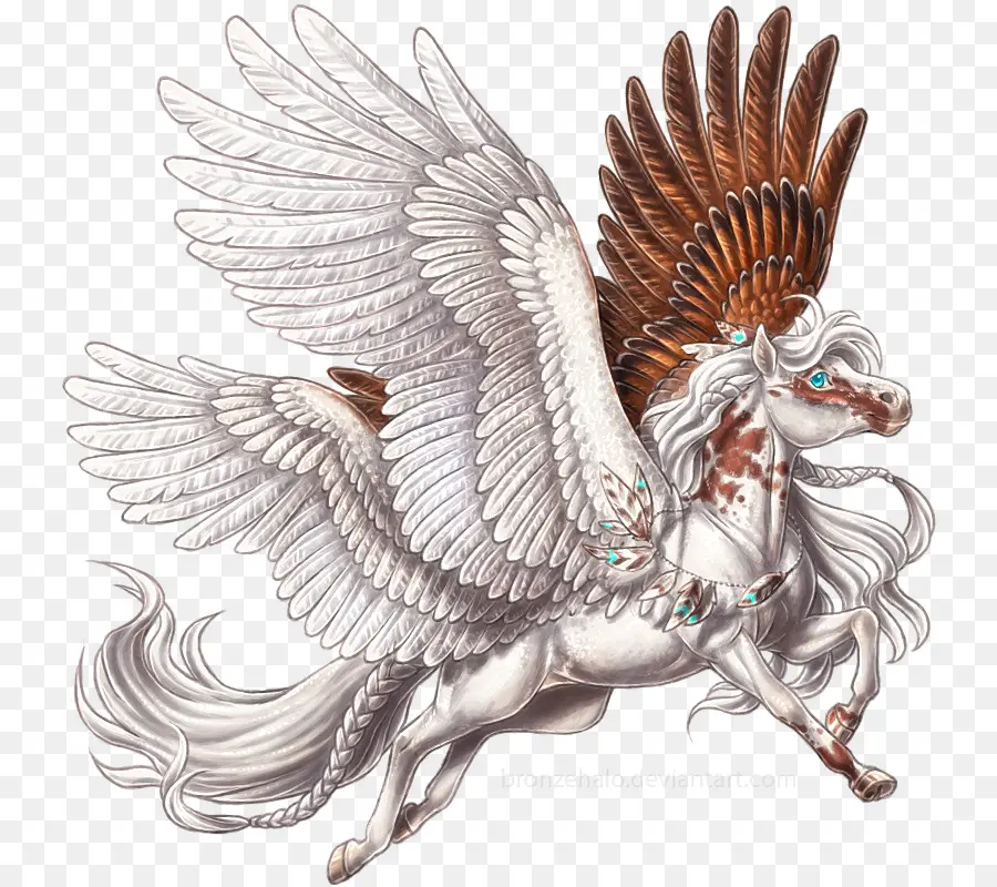 Pegaso，Alas PNG