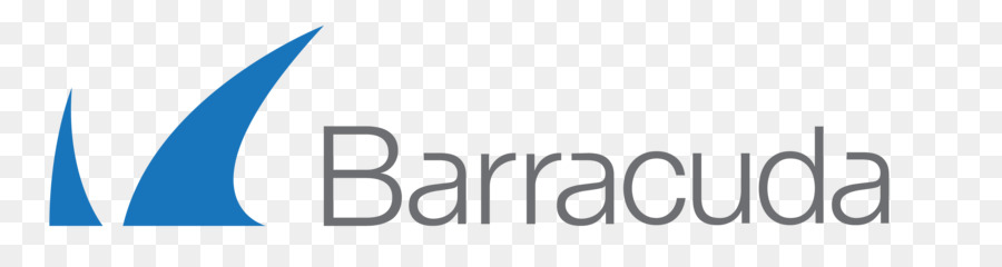 Barracuda Networks，Equilibrio De Carga PNG