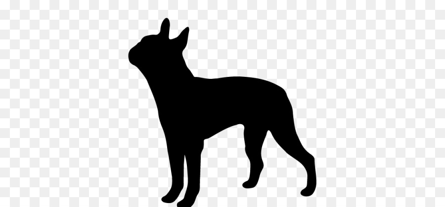 Terrier De Boston，Scottish Terrier PNG