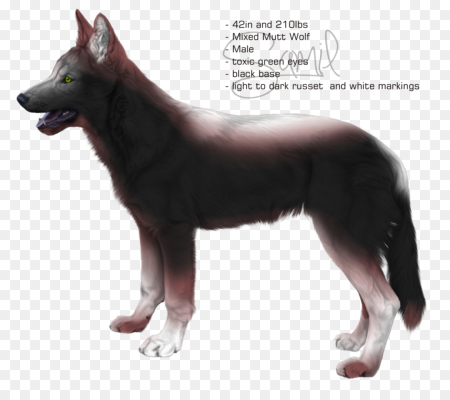 Kunming Wolfdog，Saarloos Wolfdog PNG