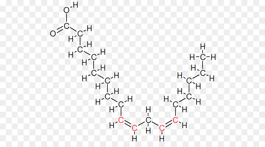 El ácido Linoleico，Las Grasas Trans PNG