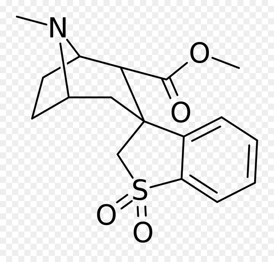 Análogo Estructural，La Cocaína PNG