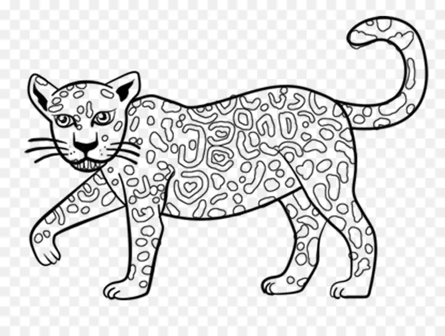 Jaguar，Libro Para Colorear PNG