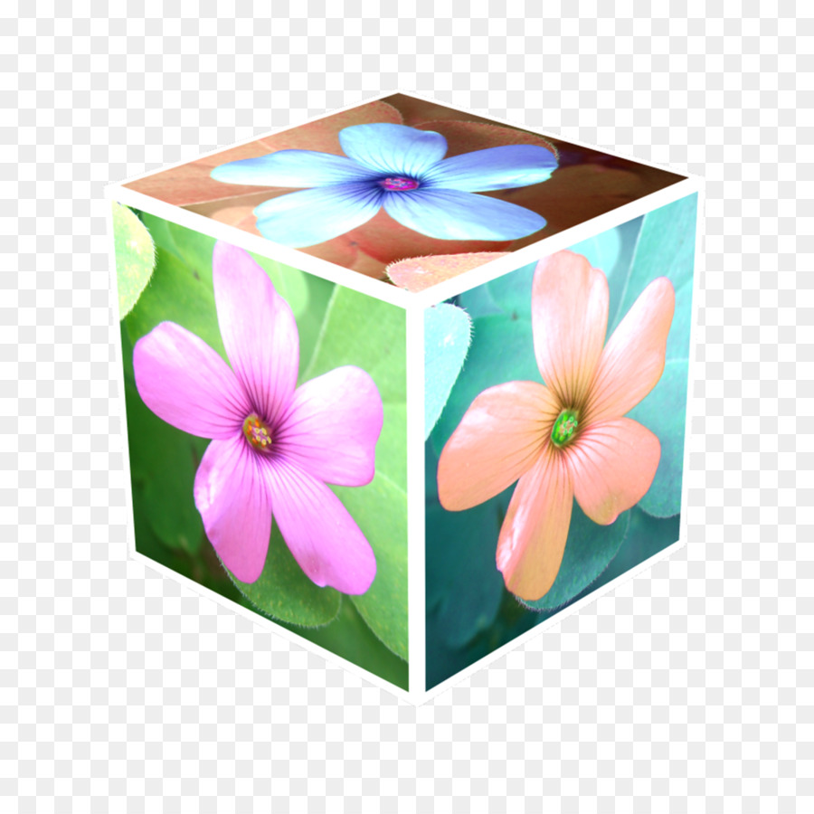 Del Espacio Tridimensional，Cubo PNG