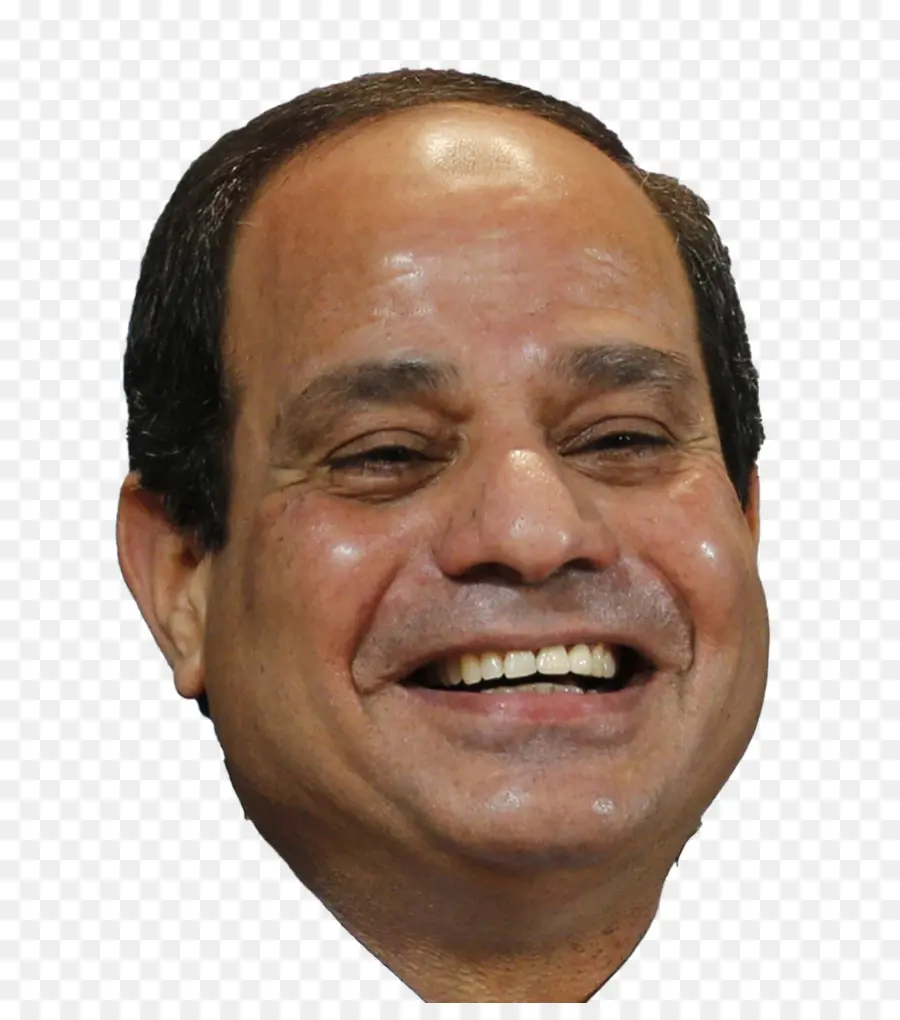 Abdel Fattah Elsisi，Egipto PNG