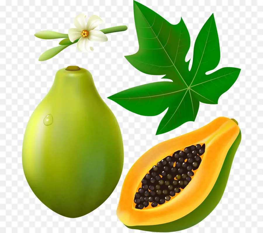 La Fruta，La Papaya PNG