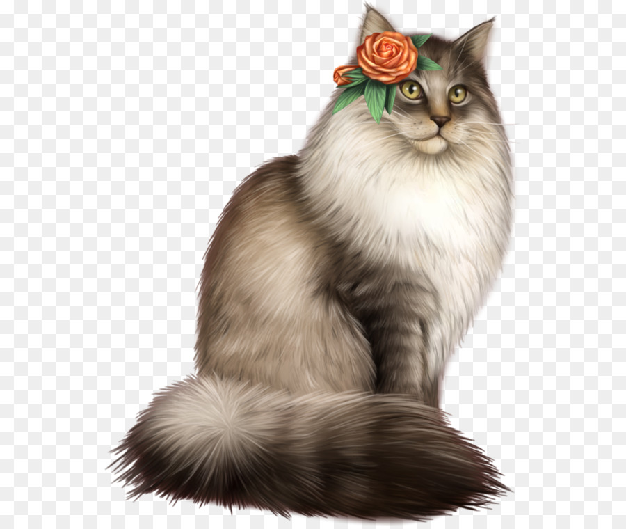 Asiático Semilonghair，Nebelung PNG