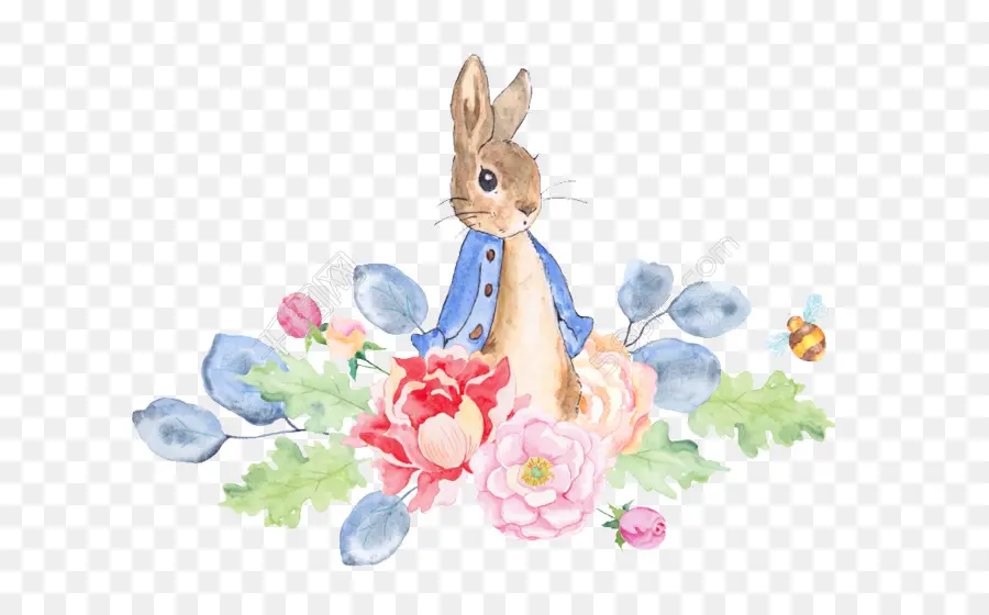 Cuento De Peter Rabbit，Conejo PNG