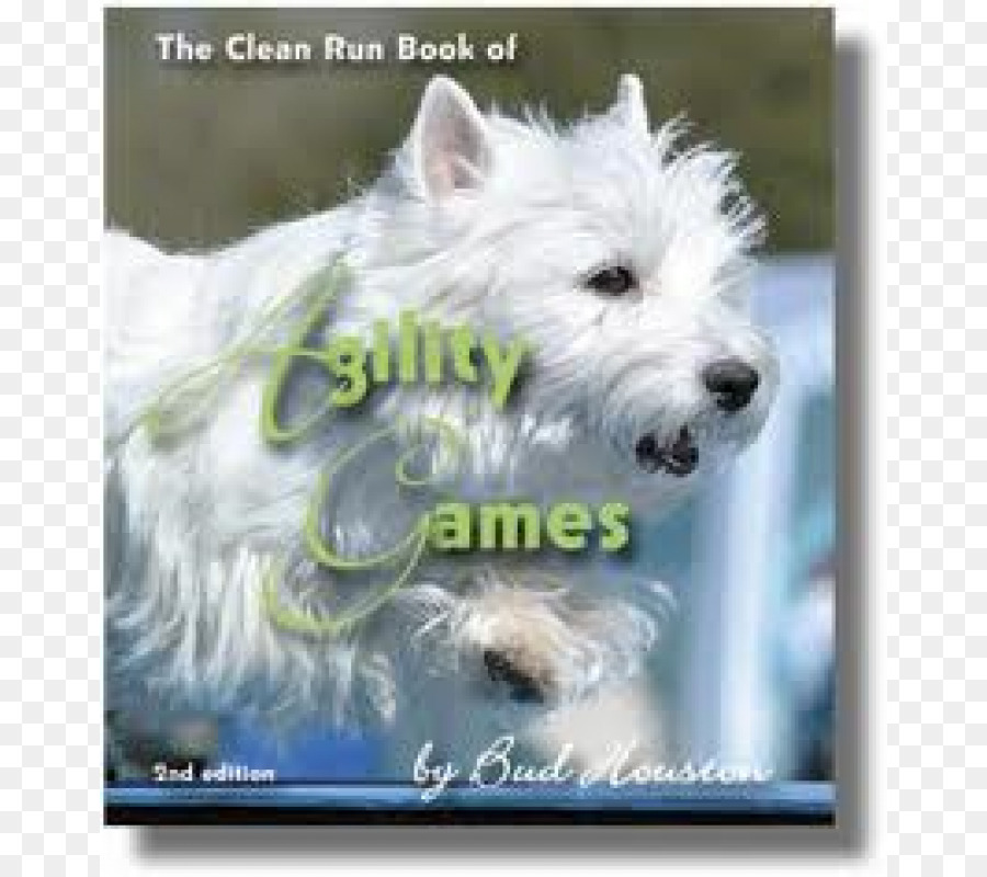 West Highland White Terrier，Glen PNG