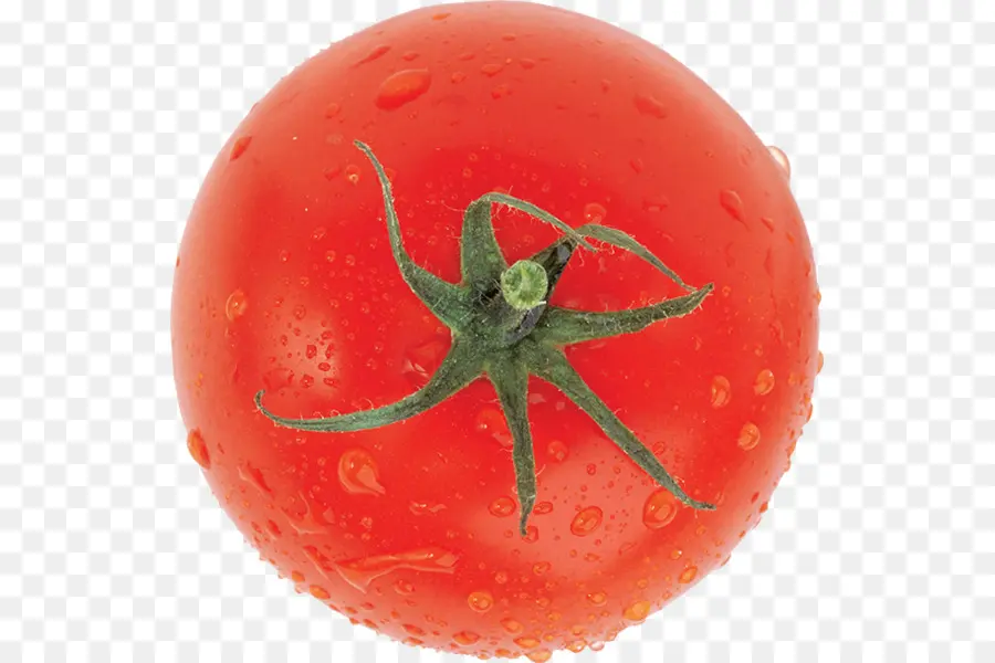 Tomate Ciruela，Tomate PNG