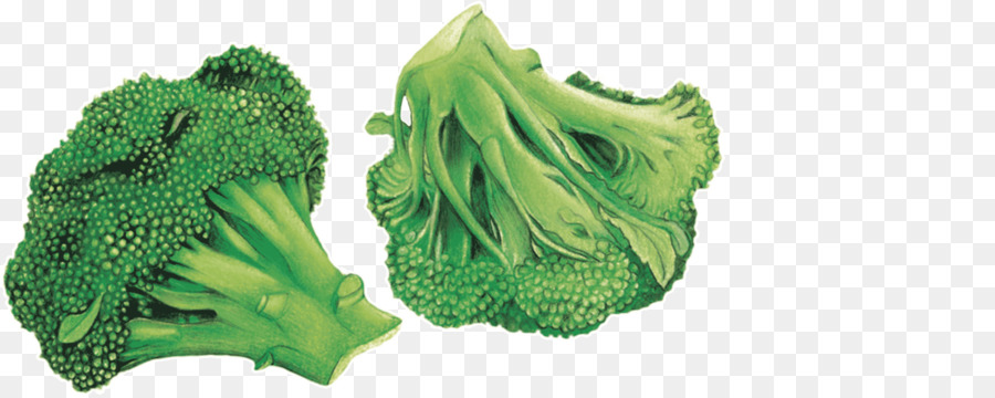 Hoja Vegetal，Brócoli PNG