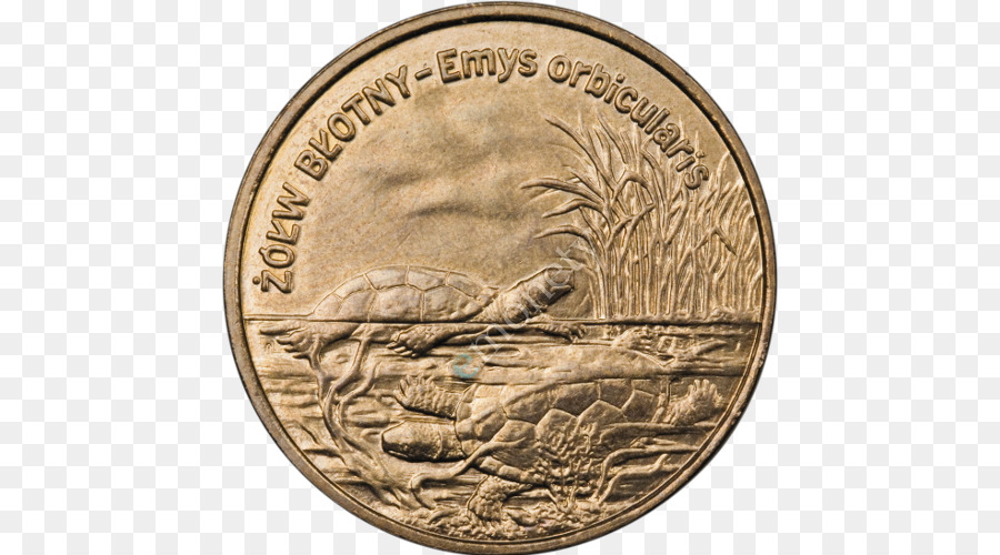 Polonia，Moneda Conmemorativa De 2 De Oro PNG
