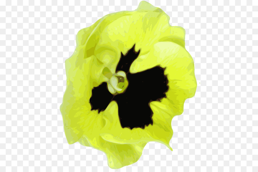 Pansy，Amarillo PNG