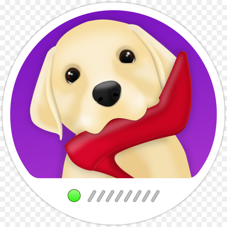 Labrador Retriever，Cachorro PNG