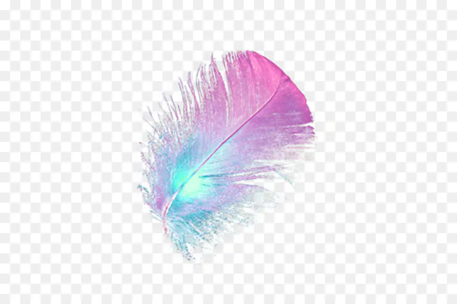 Pluma Colorida，Rosa PNG