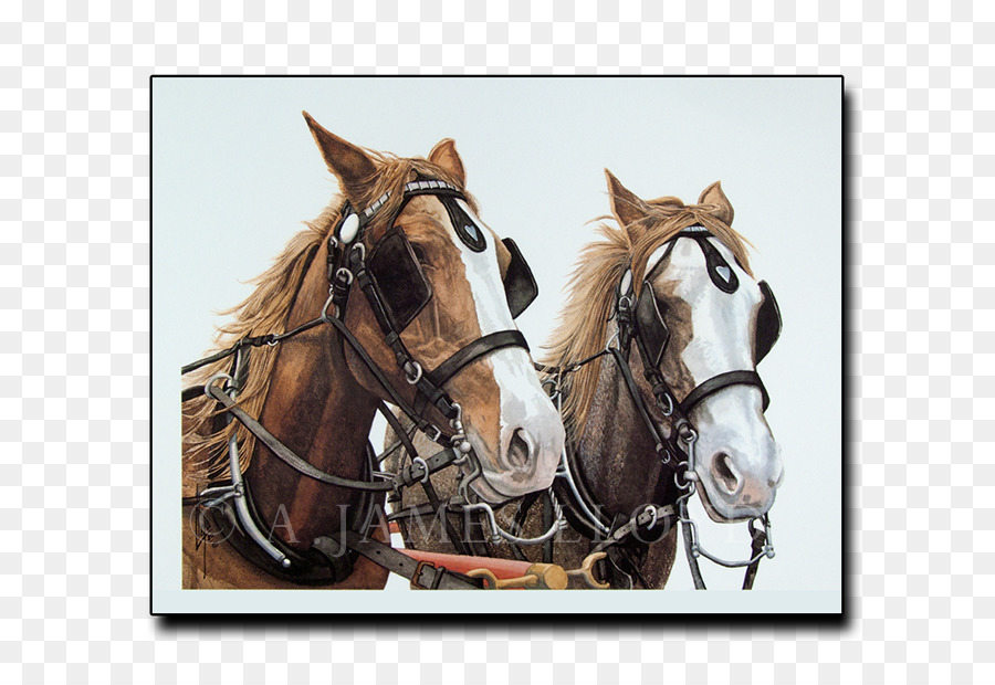 Arneses De Caballos，Mustango PNG