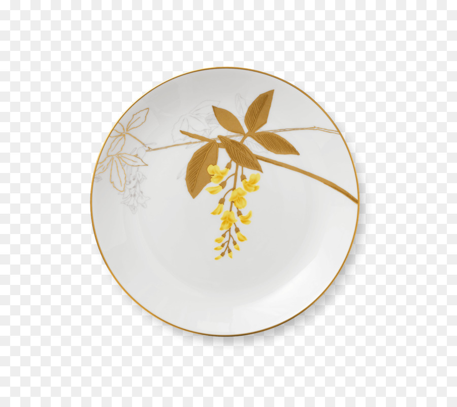 Placa，Flora PNG