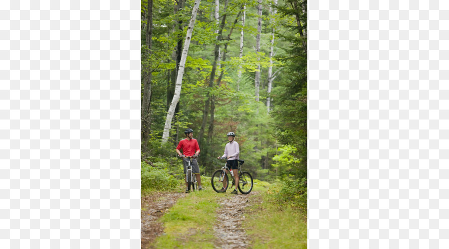 Bicicleta De Montaña，Ciclismo PNG