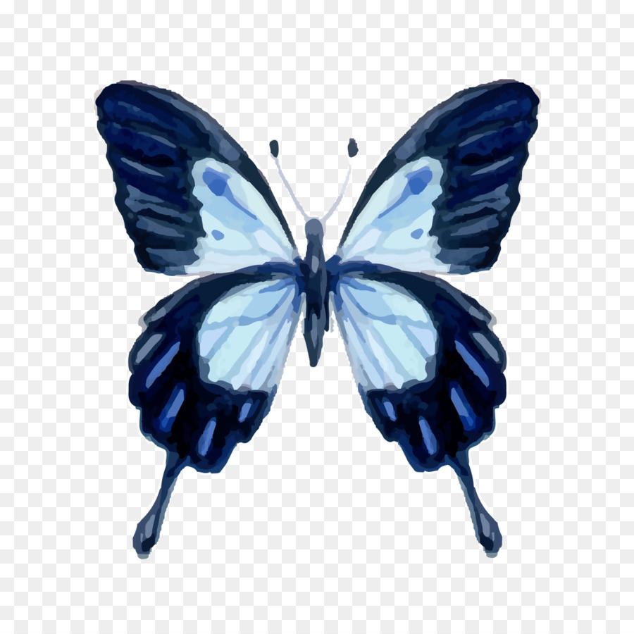 La Mariposa Monarca，Mariposa PNG