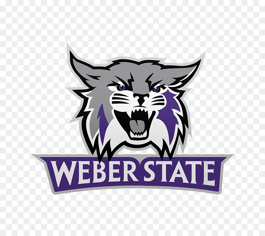 La Universidad Estatal De Weber，Weber State Wildcats Fútbol PNG