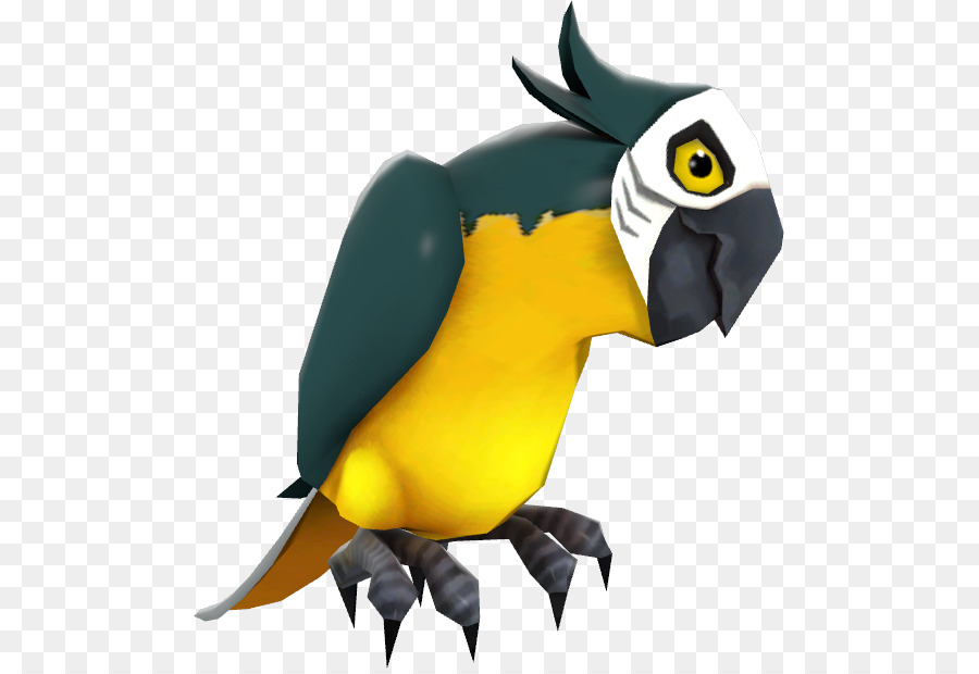 Guacamayo，Pico PNG