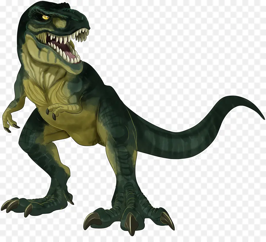 Tyrannosaurus，Velociraptor PNG