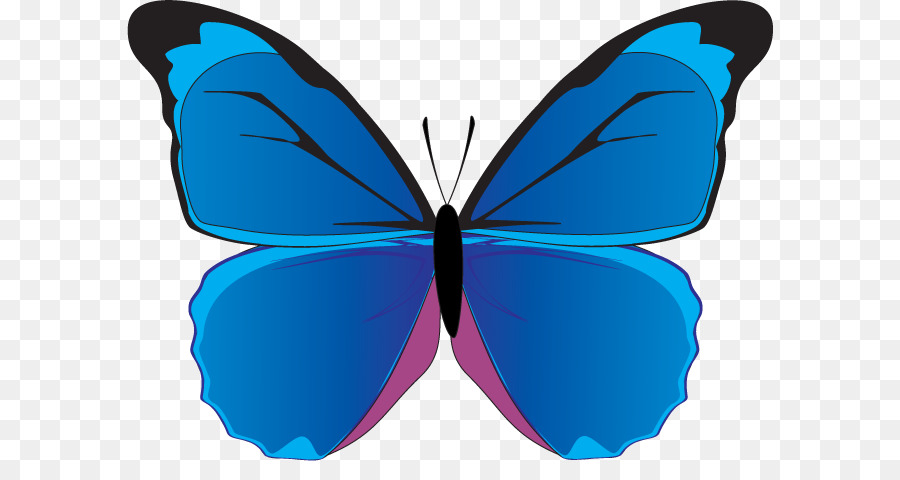 Mariposa，Morfo Azul PNG