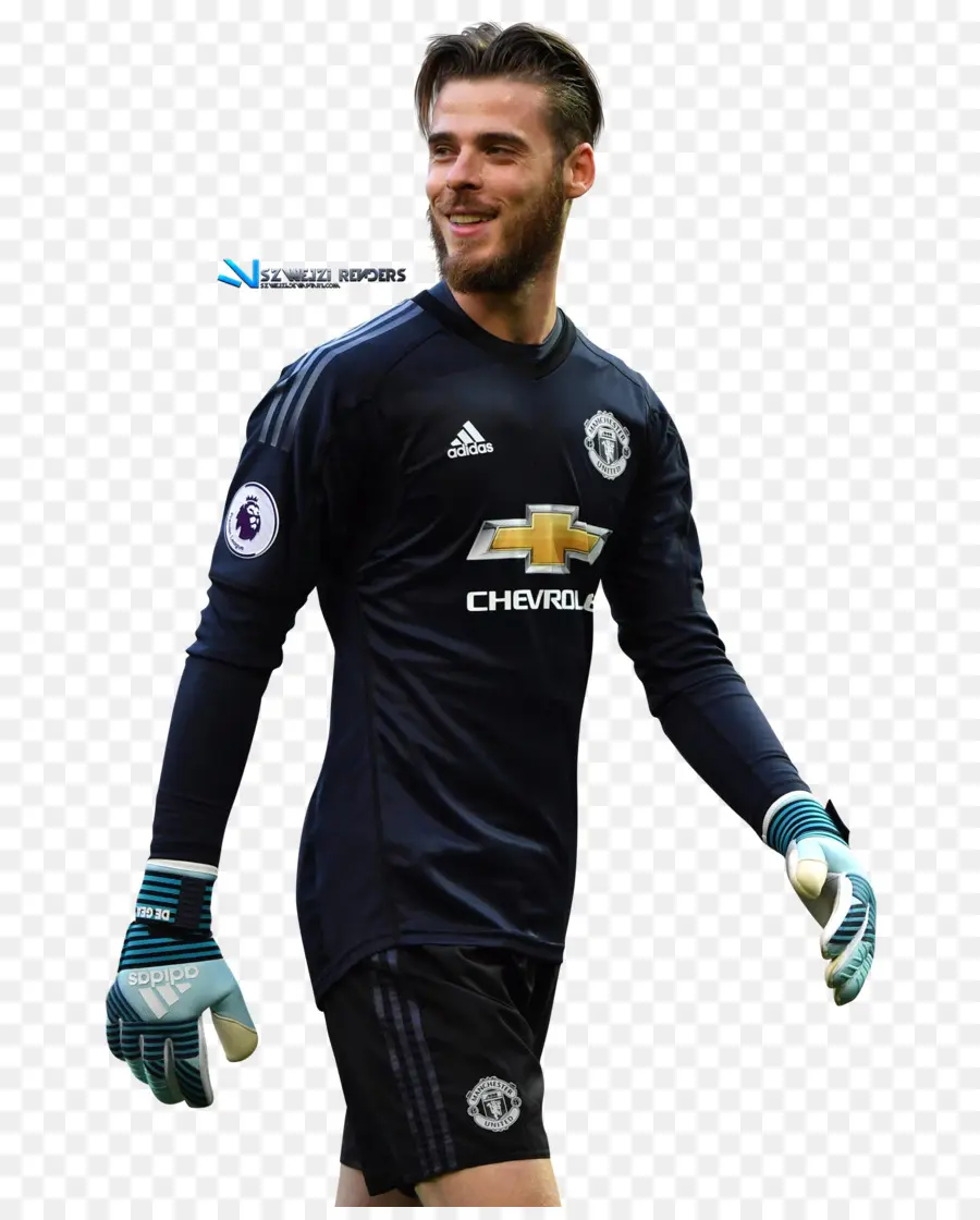 David De Gea，El Manchester United Fc PNG