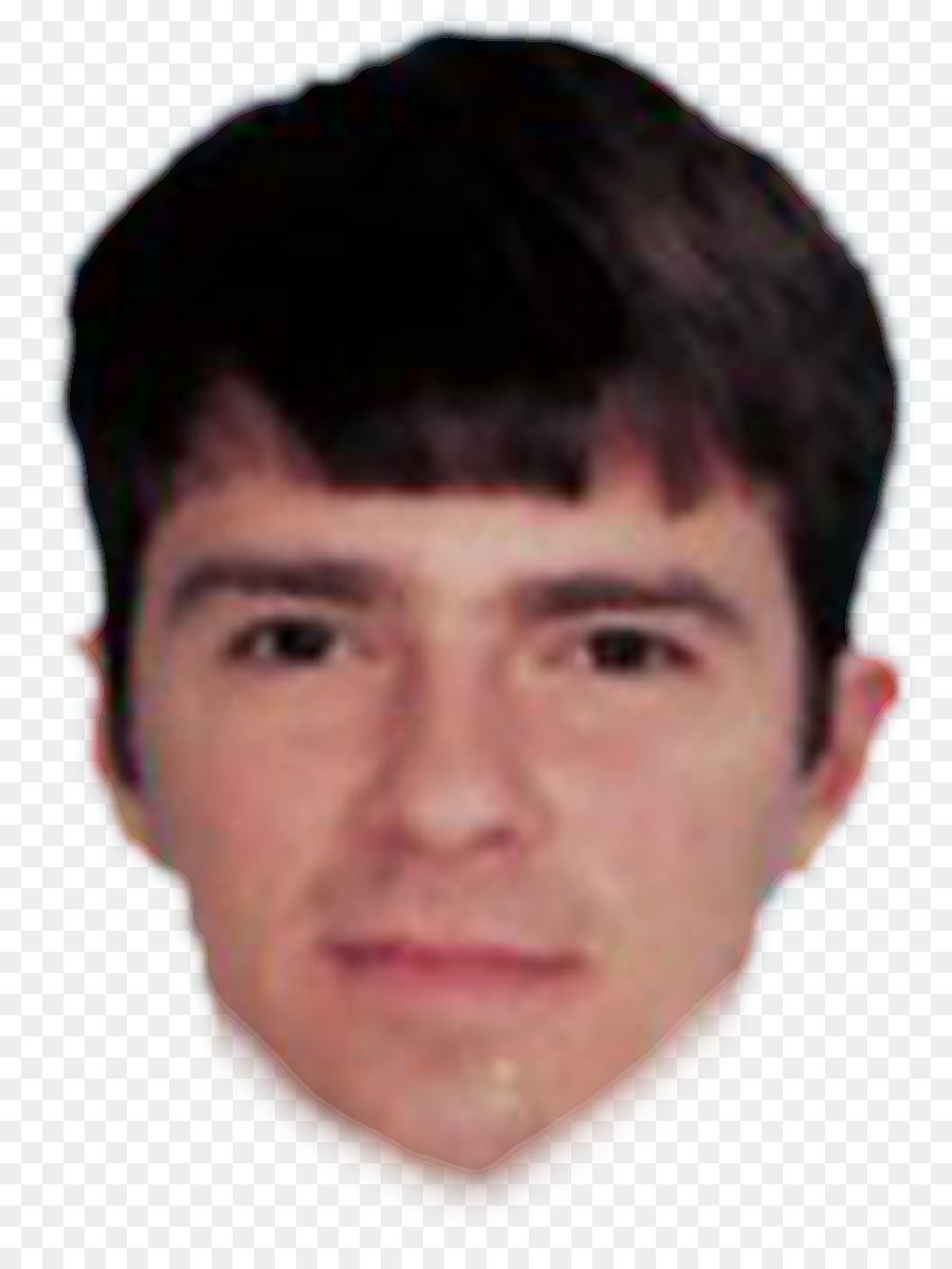 Rivers Cuomo，Weezer PNG