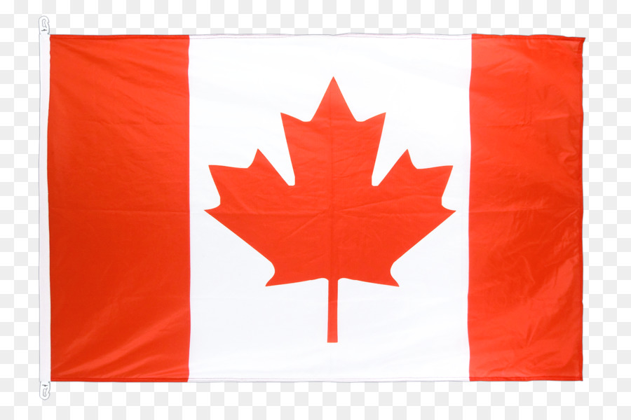 Bandera Canadiense，Hoja De Arce PNG