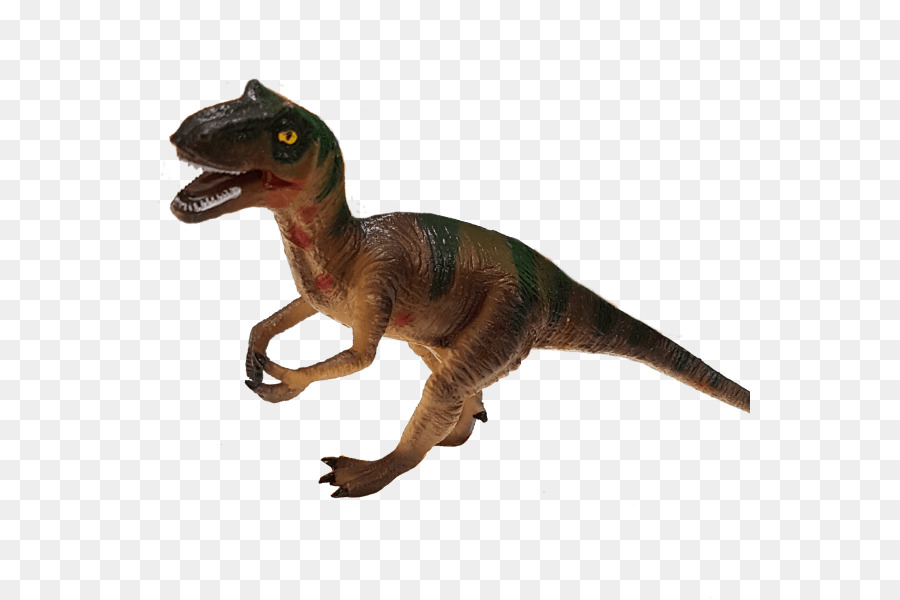 Velociraptor，Tiranosaurio PNG