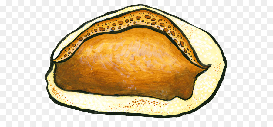 Baguette，Pan PNG