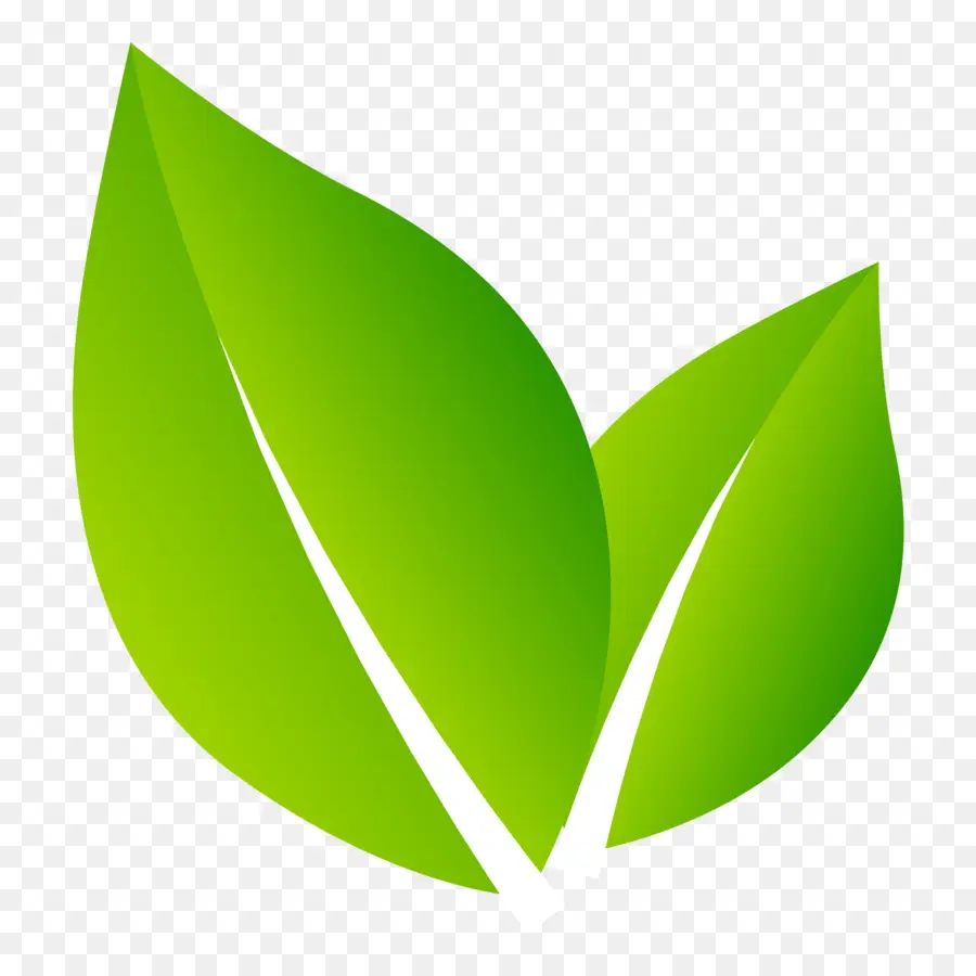 Logotipo，La Naturaleza PNG