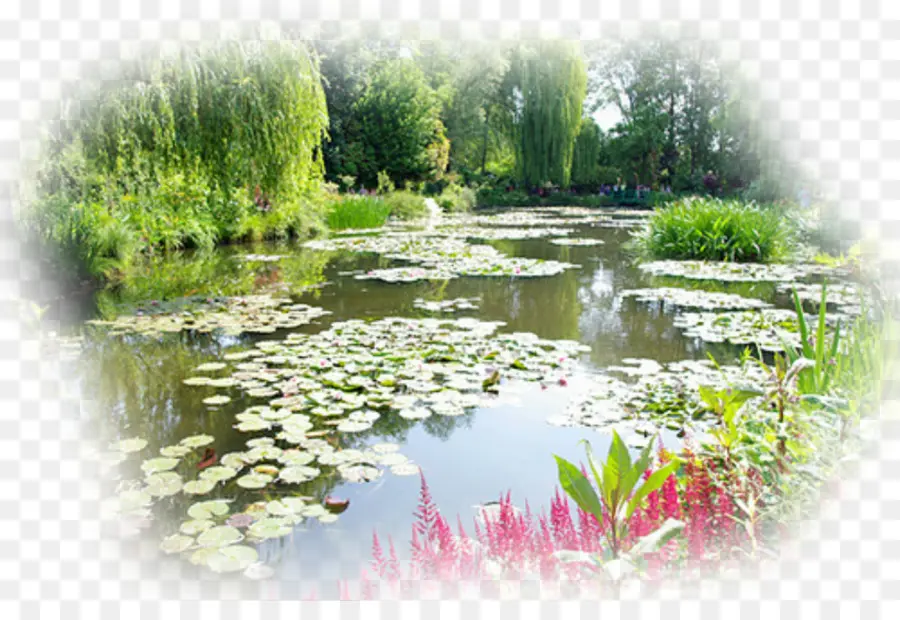 Giverny，Los Lirios De Agua PNG