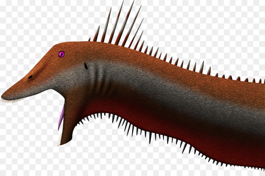 Kimmeridgian，Kaatedocus Siberi PNG