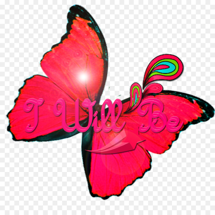 Mariposa，M Pink PNG