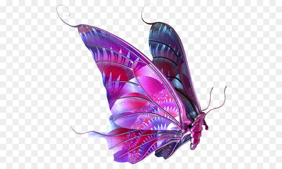 Mariposa，Paintshop Pro PNG