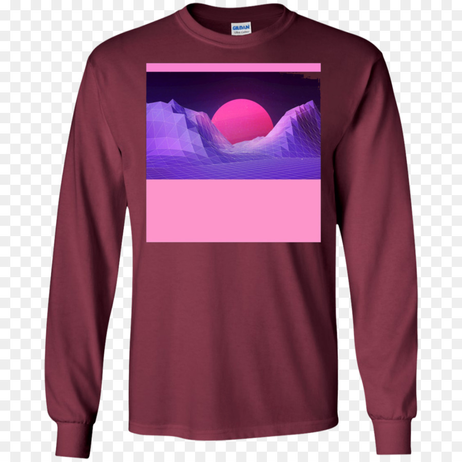 Camiseta，Sudadera Con Capucha PNG