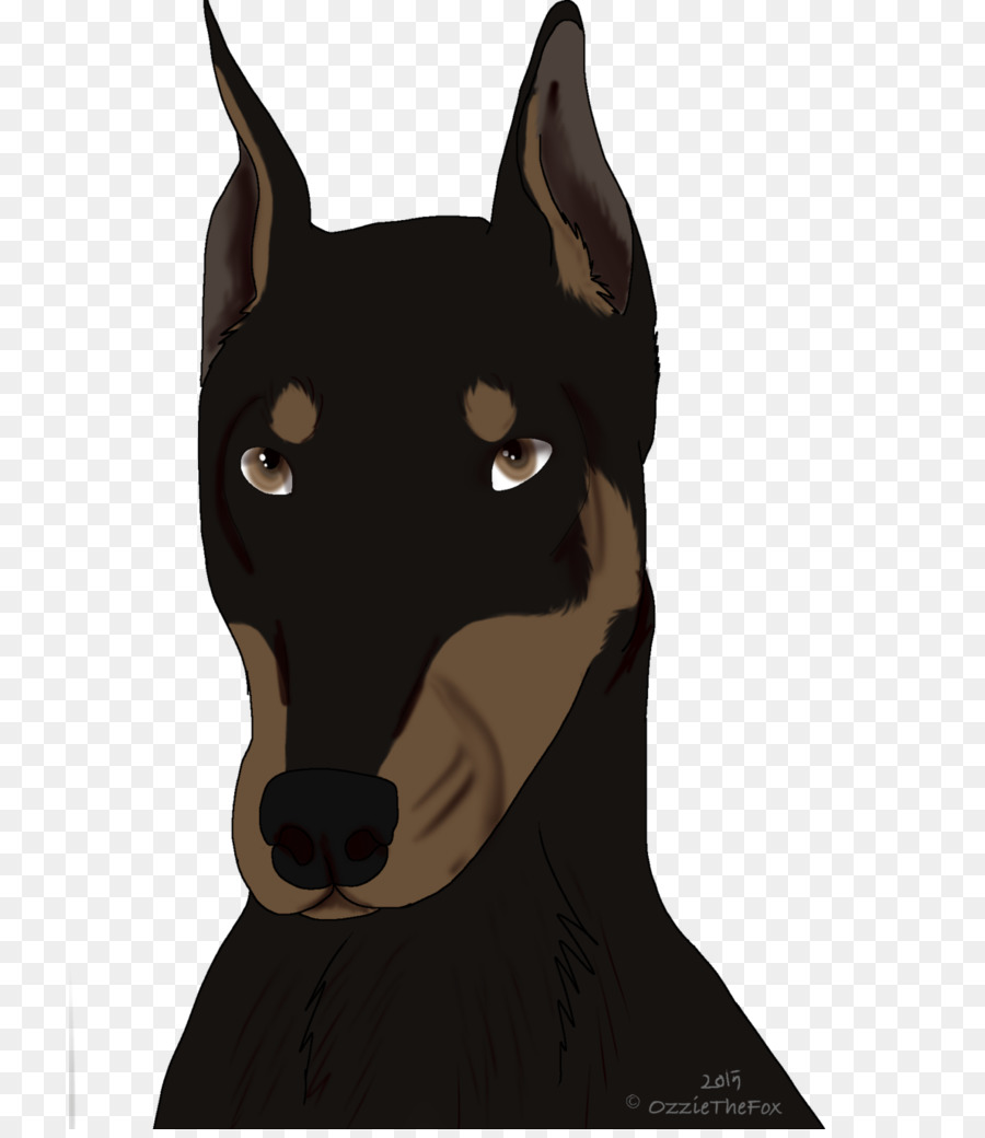 Dobermann，Kelpi Australiano PNG