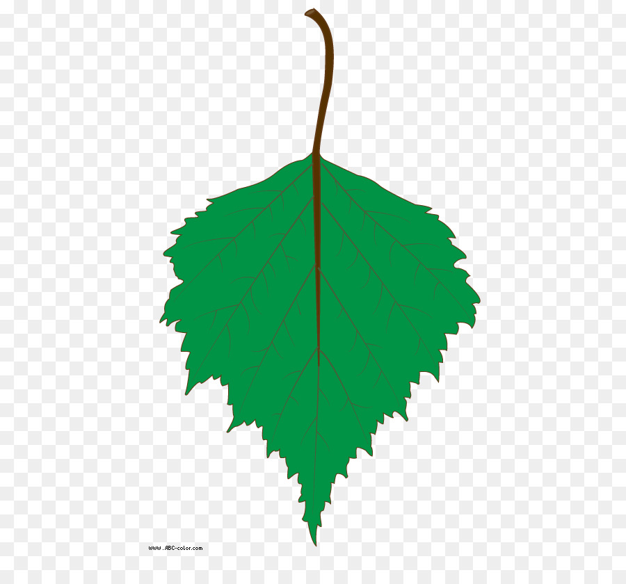 Hoja，Árbol PNG