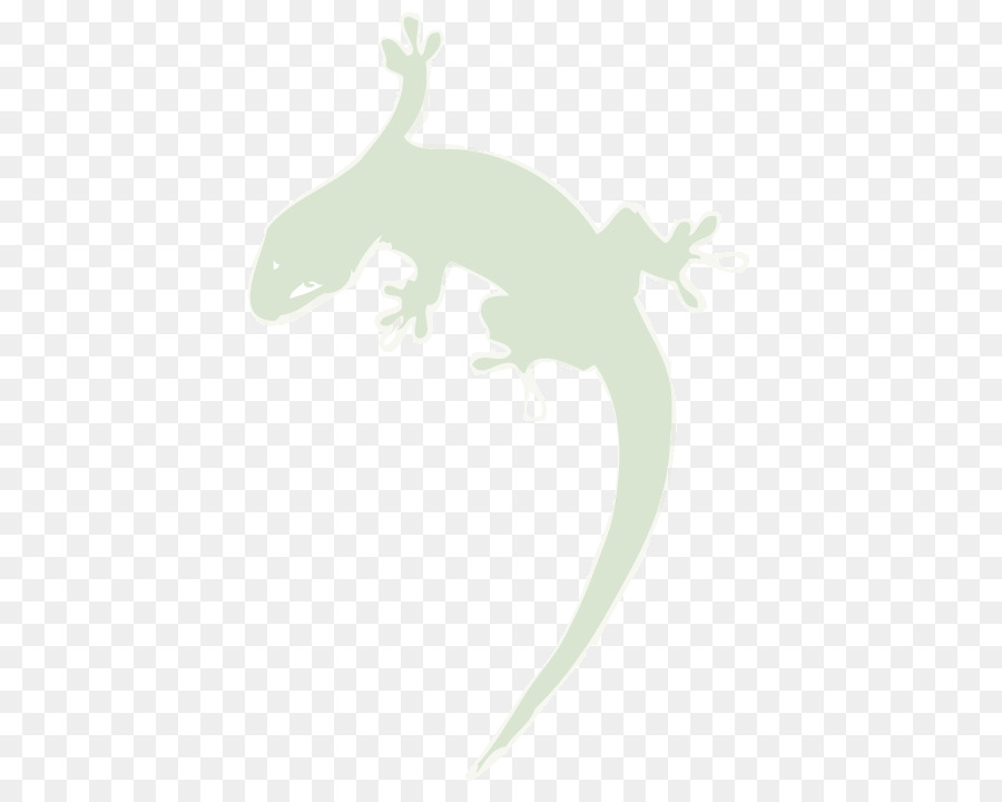 Geco，Lagarto PNG