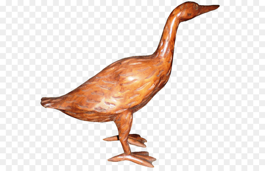 Pato，Pico PNG