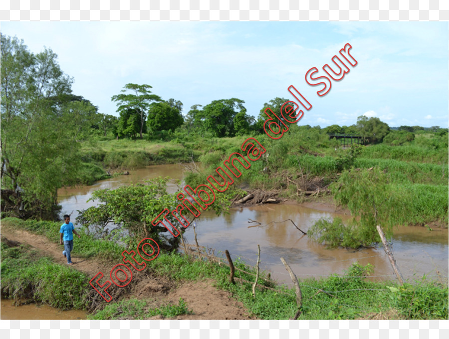 La Reserva Natural De，Los Recursos De Agua PNG