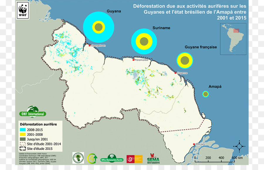 Del Escudo Guayanés，La Selva Amazónica PNG