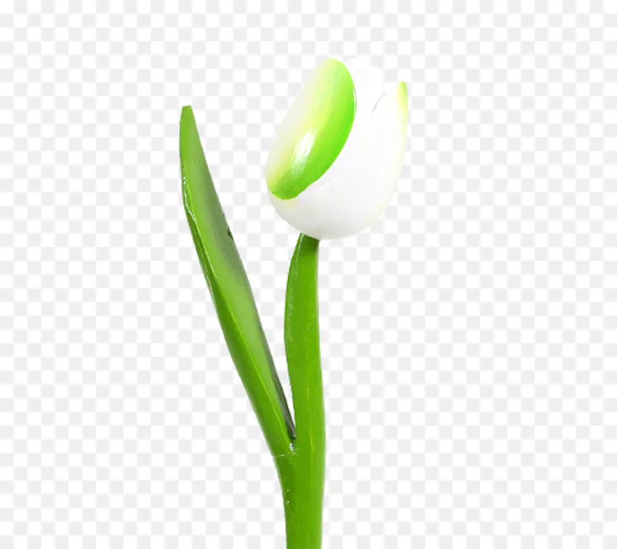 Tulip，Tallo De La Planta PNG