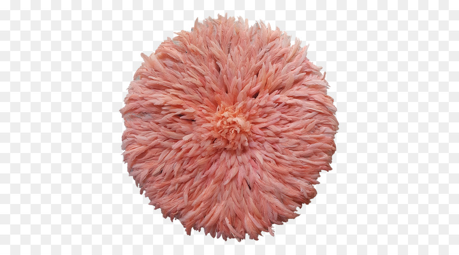 Sombrero，Coral PNG