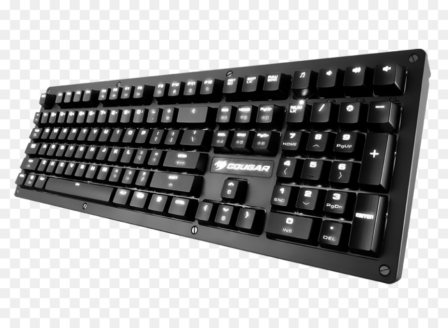 Teclado De La Computadora，Puma PNG